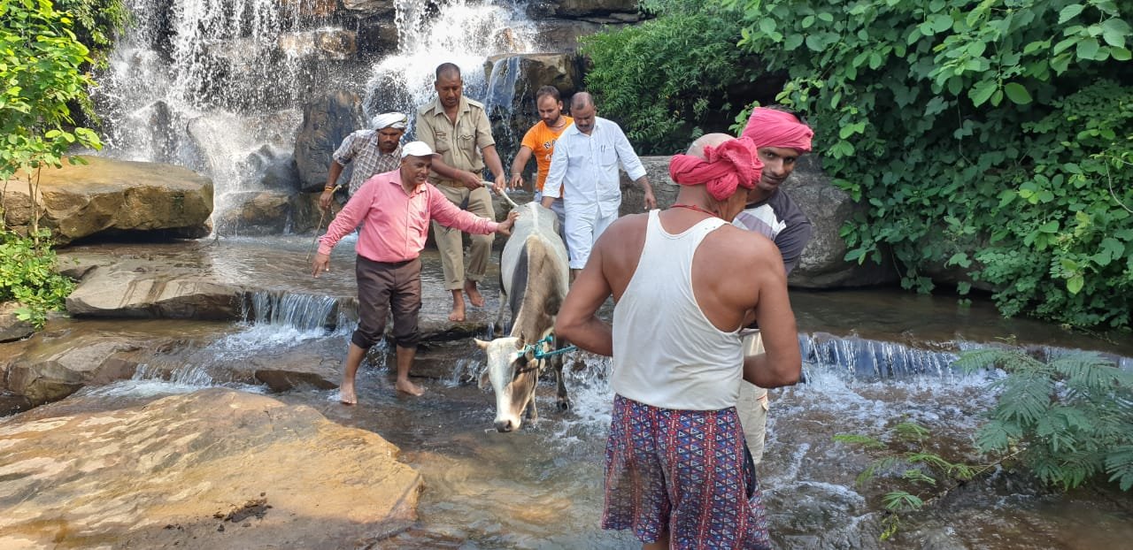 श्री कृष्ण के रूप में जिलाधिकारी अनुराग पटेल की नजर पड़ी-MIRZAPUR