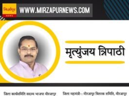 ग्राम बसुहरा निवासी आर्यन पाण्डेय का सड़क हादसे में दर्दनाक मौत