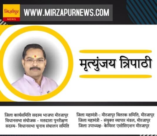 पुत्र के साथ सड़क पार कर रही महिला की दर्दनाक मौत, मिर्जापुर