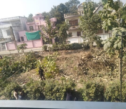 इमामबाड़ा स्थित सुरेका स्टेट कॉलोनी के पार्क को उजाड़ने से कॉलोनी में रह रहे लोगों ने जताया विरोध, मिर्जापुर