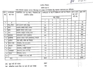 कछवा में कौन बन रहा है नगर पंचायत अध्यक्ष, किसको मिला कितना वोट जानिए पूरी खबर