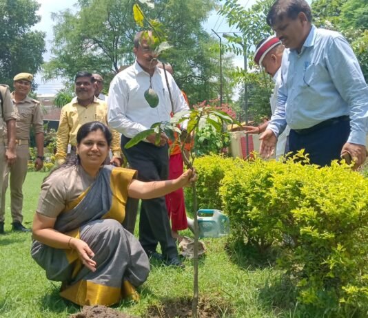 कलेक्ट्रेट उद्यान में जिलाधिकारी दिव्या मित्तल ने किया पौधरोपण