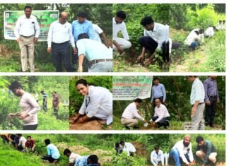 एपेक्स प्रांगण में पर्यावरण संवर्धन हेतु वनमहोत्सव के अंतर्गत वृक्षारोपण