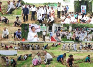 एपेक्स प्रांगण में पर्यावरण संवर्धन महाभियान के अंतर्गत 4 हज़ार वृक्षारोपण
