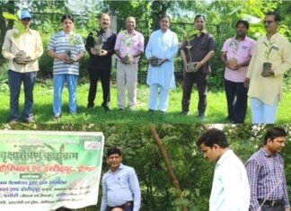 एपेक्स ट्रस्ट प्रांगण में वनमहोत्सव के अंतर्गत वृक्षारोपण