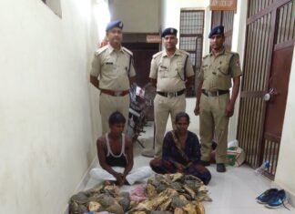 मिर्जापुर रेलवे स्टेशन पर एक दर्जन बोर से कछुआ पुलिस ने किया बरामद
