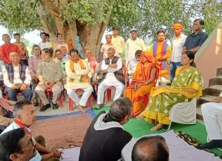 सिंधौराघाट पर जल्द बनेगा आवागमन हेतु पीपापुल – अनुप्रिया पटेल