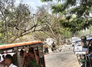 मिर्जापुर ,पुलिस लाइन में पेड़ सड़क पर गिरा बार-बार बचे राहगीर