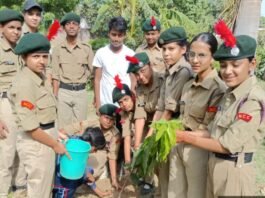 सेठ द्वारका प्रसाद बजाज स्कूल के छात्रों ने पर्यावरण दिवस पर लगाए पौधे