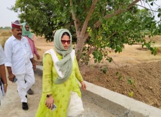 डीएम मिर्जापुर प्रियंका निरंजन ने लेखपाल से नदी की चैड़ाई सरकारी दस्तावेज में दर्ज के अनुसार नाप करवाने का निर्देश दिया