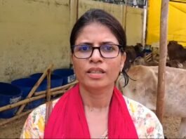 कछवा नगर पंचायत के ईओ के साथ नेता द्वारा दुर्व्यवहार का वीडियो वायरल