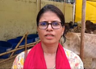 कछवा नगर पंचायत के ईओ के साथ नेता द्वारा दुर्व्यवहार का वीडियो वायरल