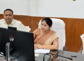 मिर्जापुर सोनभद्र और भदोही में कुल दो करोड़ सैतालिस लाख पौध उपलब्ध