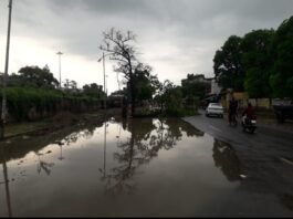 आज सुबह 6:00 बजे तेज बरसात और हवा के झोंके के बीच सीडीओ कार्यालय के सामने पेड़ गिरा ,मिर्जापुर
