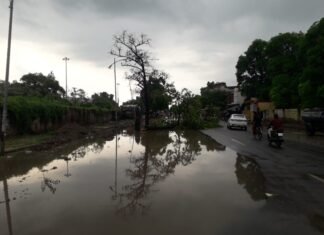 आज सुबह 6:00 बजे तेज बरसात और हवा के झोंके के बीच सीडीओ कार्यालय के सामने पेड़ गिरा ,मिर्जापुर