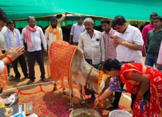 बर्जी मुकुंदपुर ग्राम पंचायत में गोवर्धन गौशाला में भाजपा अध्यक्ष बृजभूषण सिंह ने गौ की पूजाकर मनाया जन्माष्टमी