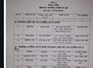 मझवा चुनाव में 13 प्रत्याशी चुनाव मैदान में बचे, चार का पर्चा निरस्त मिर्जापुर