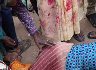 पेड़ कटाई के दौरान हुआ बड़ा हादसा, पेड़ गिरने ने छात्रा की हुई मौत