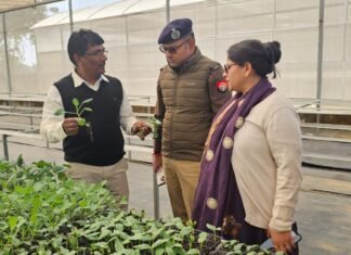 मिर्जापुर में खजूर की खेती करना चाहते हो तो तत्काल उद्यान विभाग से करें संपर्क