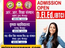 मधुमक्खियों के हमले से महिला घायल,हुई भर्ती
