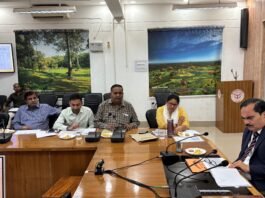 30 मूर्तियां लगाई जानी है जिसमें 20 मूर्तियों का चयन हो गया है- मीरजापुर
