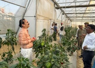 मिर्जापुर में उद्यान विभाग के द्वारा ड्रैगन की खेती में दिए जाने वाले प्रोत्साहन के चलते किसान हो रहे हैं मालामाल