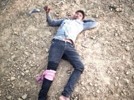 सेमरी जंगल में गो तस्करों और पुलिस के बीच मुठभेड़ ,सलीम नामक गो तस्कर घायल