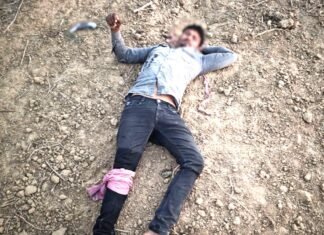 सेमरी जंगल में गो तस्करों और पुलिस के बीच मुठभेड़ ,सलीम नामक गो तस्कर घायल