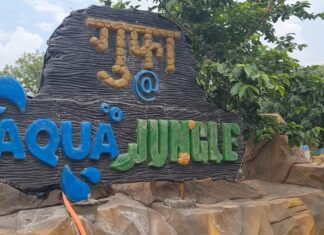 उत्तर प्रदेश में एक्वा जंगल वाटर पार्क पर्यटकों के लिए बना आकर्षण का केंद्र