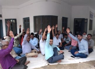 बिजली विभाग का निजीकरण करना जनता को भी पड़ सकता है भारी