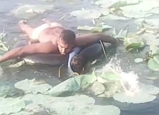 डूब रहे माता के भक्त को पुलिस ने कूद कर बचाई जान,मिर्जापुर पुलिस की हो रही तारीफ