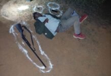 पुलिस मुठभेड़ में शातिर गो-तस्कर घायल, 21 गोवंश व अवैध हथियार बरामद