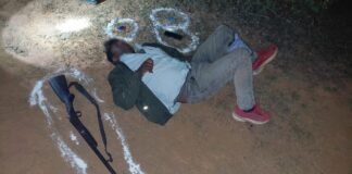 पुलिस मुठभेड़ में शातिर गो-तस्कर घायल, 21 गोवंश व अवैध हथियार बरामद