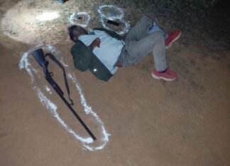 पुलिस मुठभेड़ में शातिर गो-तस्कर घायल, 21 गोवंश व अवैध हथियार बरामद