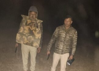 मड़िहान–राजगढ़ पुलिस की बड़ी कार्रवाई, मुठभेड़ में एक गो-तस्कर घायल गिरफ्तार, 13 गोवंश बरामद
