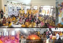 एपेक्स ट्रस्ट इंस्टिट्यूट प्रांगण में सरस्वती पूजन के साथ वसंत उत्सव पर्व मनाया गया*