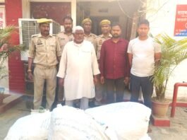 कछवां में खेत में उगाई जा रही थी पोस्ता की फसल, पुलिस ने तीन को दबोचा