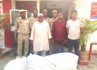 कछवां में खेत में उगाई जा रही थी पोस्ता की फसल, पुलिस ने तीन को दबोचा