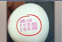 अंडों पर मैन्युफैक्चरिंग डेट अनिवार्य करने की मांग उठी