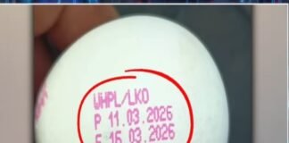 अंडों पर मैन्युफैक्चरिंग डेट अनिवार्य करने की मांग उठी