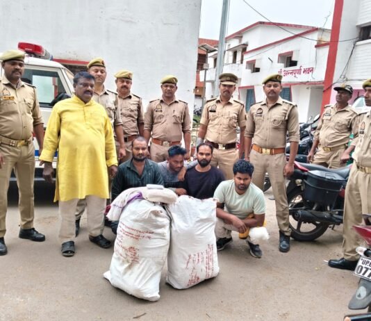 13 लाख के गांजे के साथ 5 अंतरजनपदीय तस्कर गिरफ्तार, 26 किलो गांजा व 3 बाइक बरामद