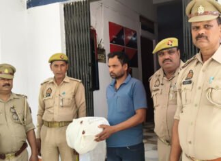 ₹2.50 लाख के गांजा के साथ तस्कर गिरफ्तार, इको स्पोर्ट कार बरामद
