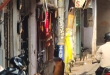 बेसहारा गोवंश पालिए, सरकार दे रही हर महीने 1500 रुपये प्रति गाय