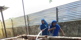 मिर्जापुर में गौशालाओं के गोबर से तैयार हो रही वर्मी कंपोस्ट महिलाओं को मिल रहा रोजगार