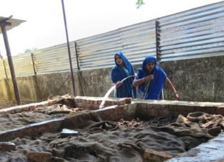 मिर्जापुर में गौशालाओं के गोबर से तैयार हो रही वर्मी कंपोस्ट महिलाओं को मिल रहा रोजगार