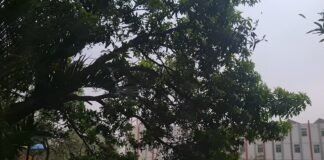 मिर्जापुर में तेज आंधी, बारिश और ओलावृष्टि से जनजीवन बेहाल