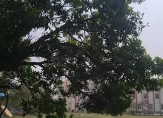 मिर्जापुर में तेज आंधी, बारिश और ओलावृष्टि से जनजीवन बेहाल
