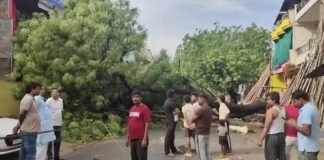 आधी रात आए तेज आंधी-तूफान और बारिश से मिर्जापुर बेहाल, 20 दिनों में दूसरी बार बिगड़े हालात