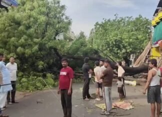 आधी रात आए तेज आंधी-तूफान और बारिश से मिर्जापुर बेहाल, 20 दिनों में दूसरी बार बिगड़े हालात