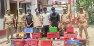 सुनसान स्थानों पर खड़े वाहनों को निशाना बनाने वाले गिरोह का पर्दाफाश, 24 बैटरियां व चोरी की पिकअप बरामद